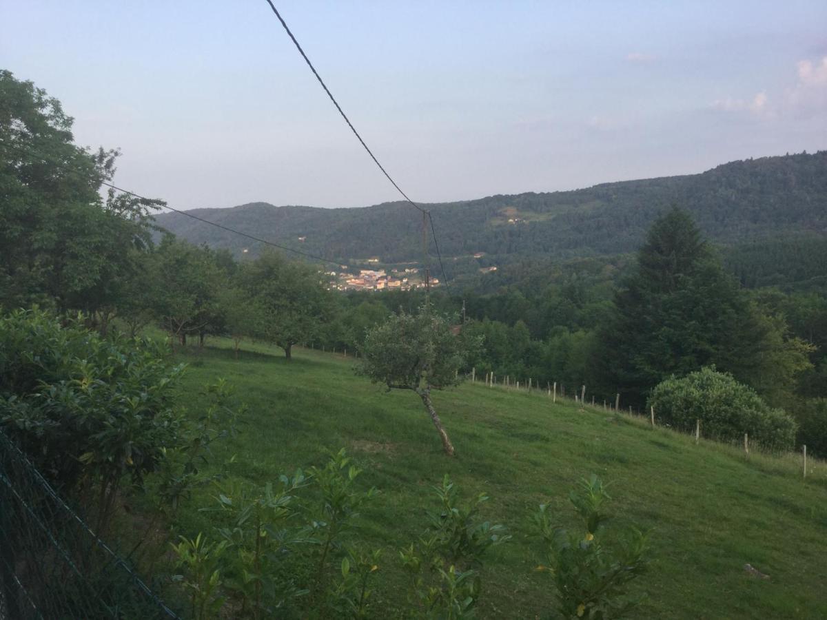 La Ferme de Là-haut B&B Le Haut-du-Them Ngoại thất bức ảnh